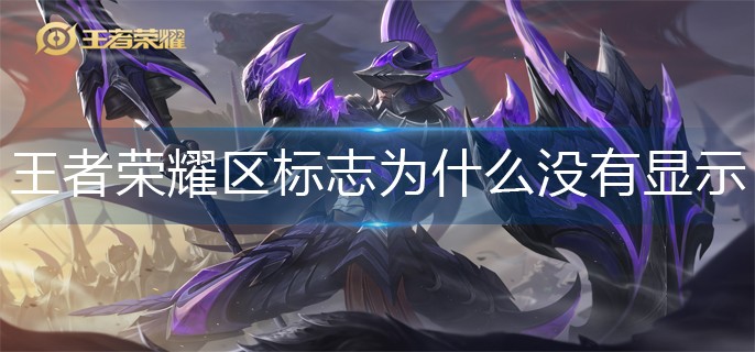 王者荣耀区标志为什么没有显示-王者荣耀区标志不显示解决办法
