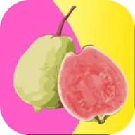 蜜月直播APP无限制版