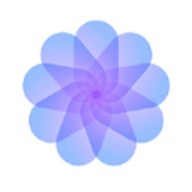 糟老头旧版本安装包