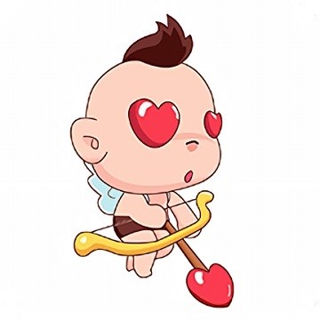 红杏直播下载入口